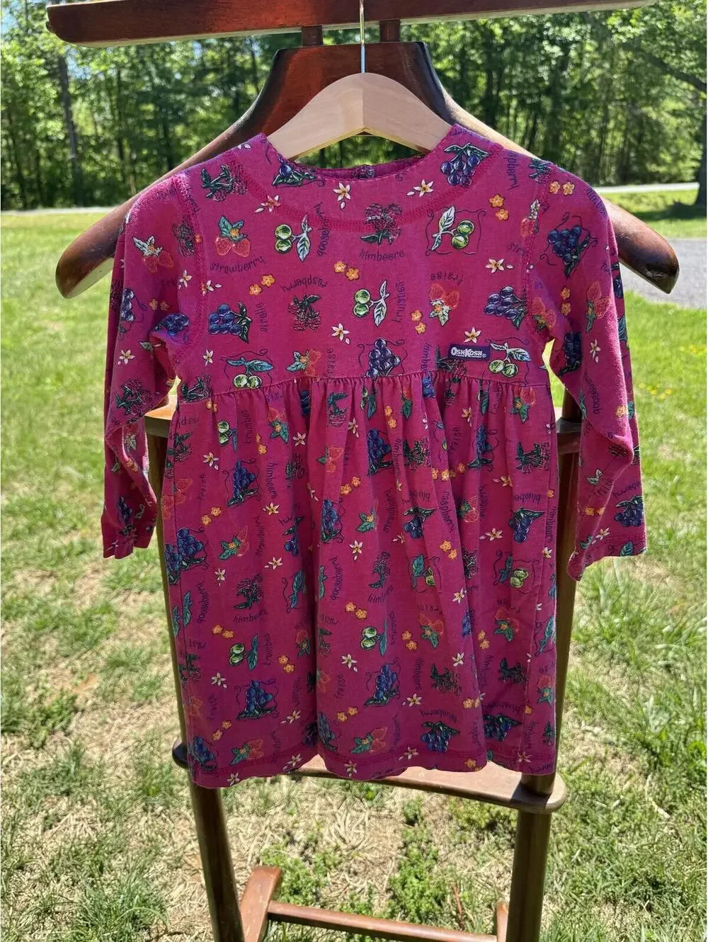 Vintage OshKosh B'gosh Toddler Girls 3T Long Sleeve Fruit Cotton Dress